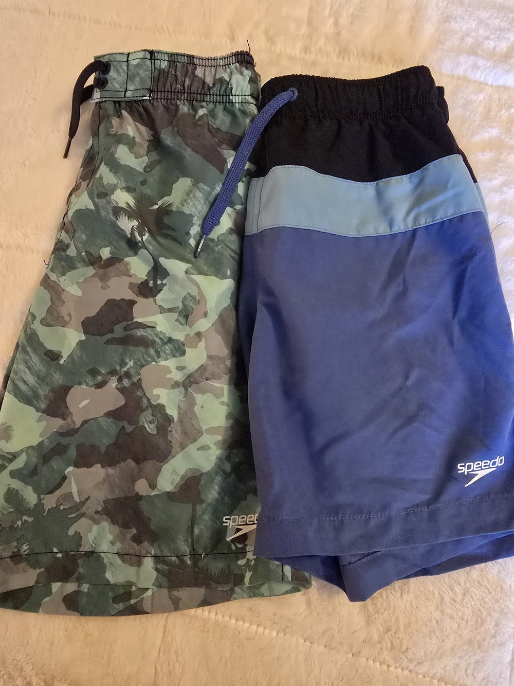 Speedo Men's Blue Swim Shorts